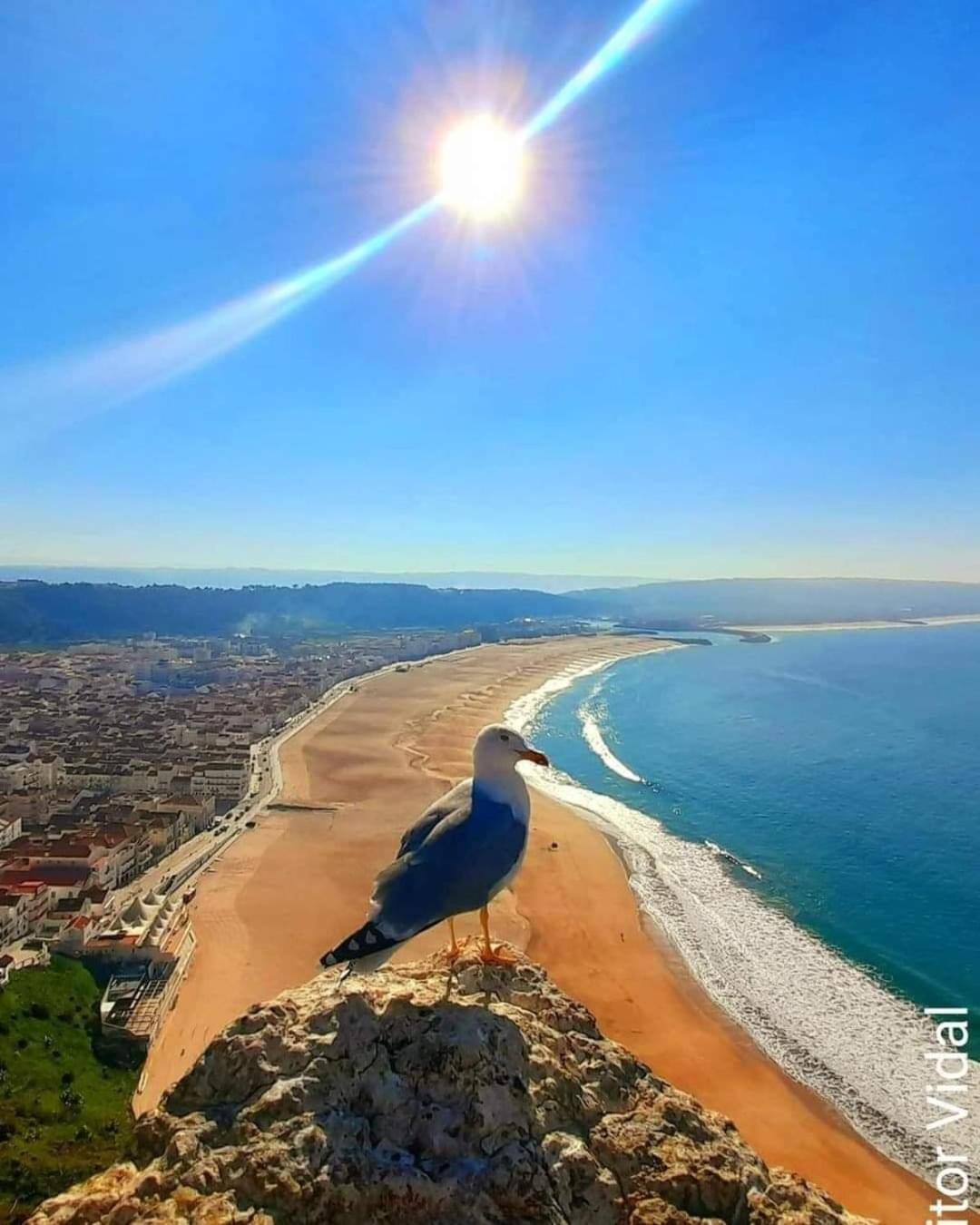 Maresia Villa Mar 나자레 외부 사진
